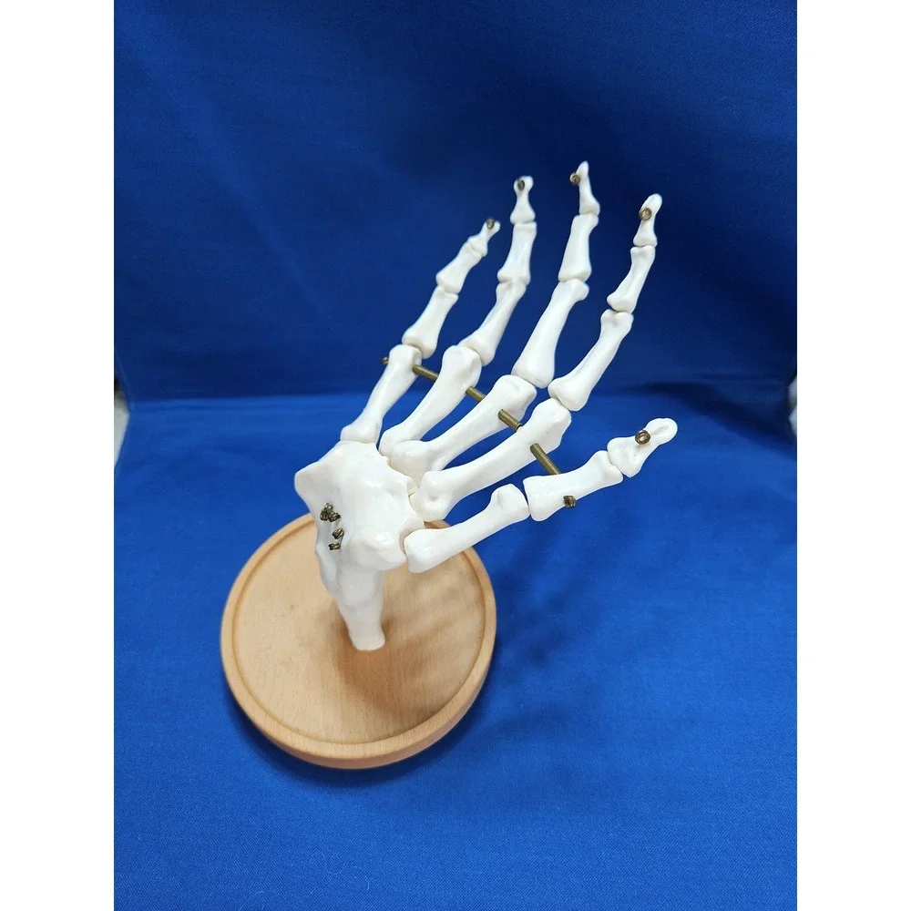 Skeleton Hand Jewelry Stand Ring Necklace Holder Gothic Halloween Life-Size